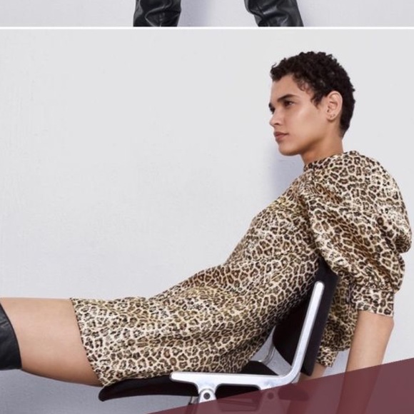 Zara Dresses & Skirts - ZARA Leopard Print Dress